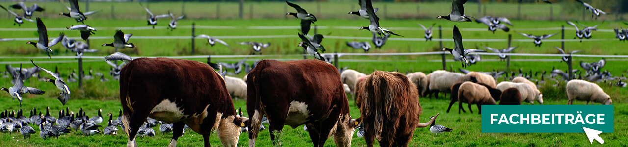Weidezäune jetzt bestellen bei myAGRAR! Plus: Fachinformationen für eine sichere Weidehaltung! Weidezäune jetzt bestellen bei myAGRAR! Plus: Fachinformationen für eine sichere Weidehaltung!