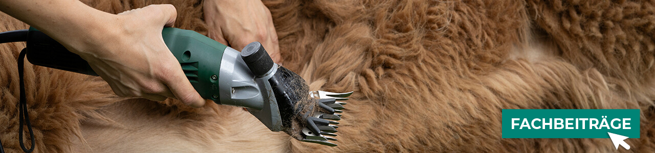 Pflegezubehör bequem online entdecken bei myAGRAR! Hier finden Sie auch praxisnahe Tipps für gesunde Tiere! Pflegezubehör bequem online entdecken bei myAGRAR! Hier finden Sie auch praxisnahe Tipps für gesunde Tiere!