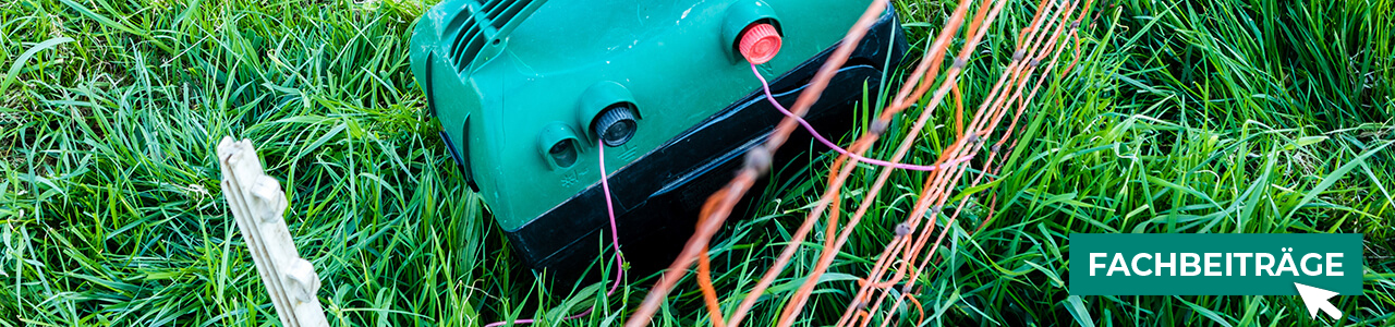 Weidezäune jetzt bestellen bei myAGRAR! Plus: Fachinformationen für eine sichere Weidehaltung!