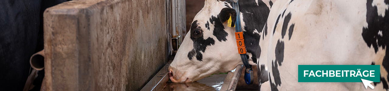 Tränken jetzt online bestellen bei myAGRAR! Plus: Expertenwissen für eine optimale Wasserversorgung! Tränken jetzt online bestellen bei myAGRAR! Plus: Expertenwissen für eine optimale Wasserversorgung!