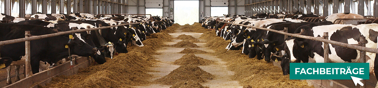 Futterverteilung jetzt bestellen bei myAGRAR! Informieren Sie sich zusätzlich in unseren Expertenbeiträgen!