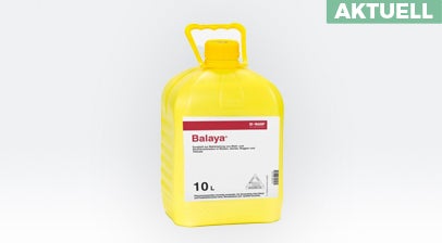 Balaya von BASF