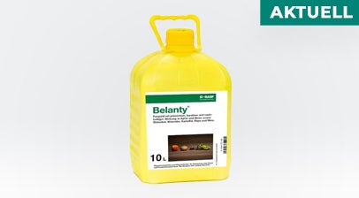 AKTUELL: Belanty