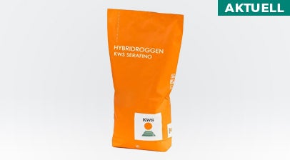 KWS Serafino: Hybridroggen