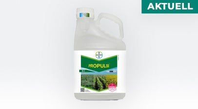 AKTUELL: Propulse