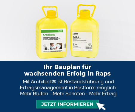 Architect: Ihr Bauplan für wachsenden Erfolg in Rpas