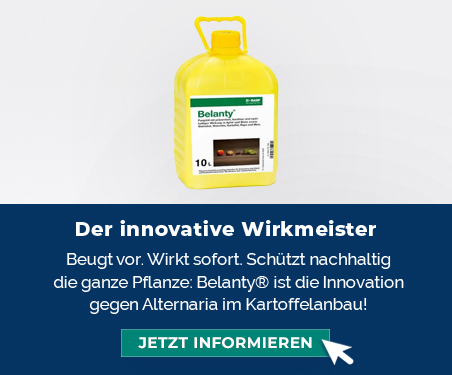 Belanty: Der innvovative Wirkmeister Belanty: Der innvovative Wirkmeister