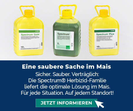 Spectrum: Eine saubere Sache im Mais