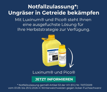 Luxinum und Pico: Ungr&auml;ser in Getreide bek&auml;mpfen