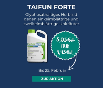 W&ouml;chentlicher Eckpreis TAIFUN FORTE