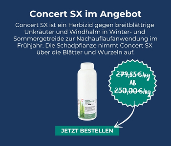 Concert SX im Angebot