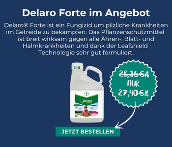 Delaro Forte im Angebot