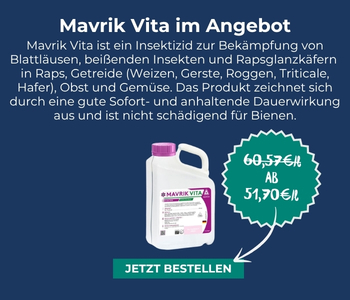 Mavrik Vita im Angebot