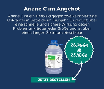 Unser w&ouml;chentlicher Eckpreis: Ariane C