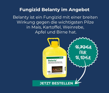 W&ouml;chentlicher Eckpreis Belanty