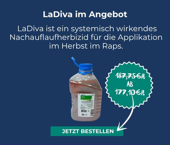 Unser aktueller Eckpreis LaDiva