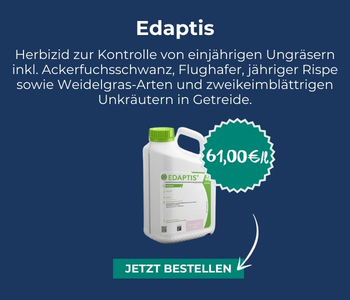 Edaptis: Jetzt bestellen