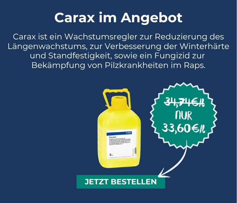 Unser aktueller Eckpreis: Carax