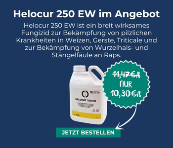 Unser aktueller Eckpreis: Helocur