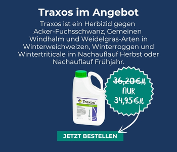 Unser aktueller Eckpreis: Traxos