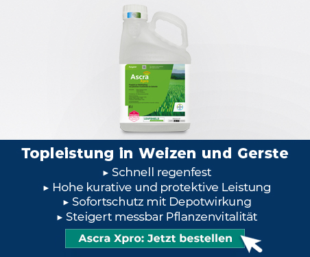 Ascra Xpro: Topleistung in Weizen und Gerste