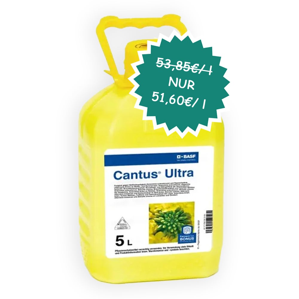 Zum Eckpreis Input Classic, bis 30.04.2025 ab 33,25 Euro pro l im Angebot