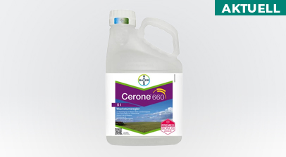 Cerone 600: Wachstumsregler zur Halmfestigung im Getreide