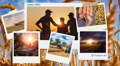 Wie war dein Sommer - zeig uns dein schönstes Erntebild