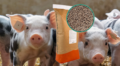 Ferkelf&uuml;tterung: Das optimale System zur Absetzphase