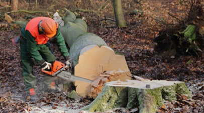 Forstwerkzeuge, Sägeketten Hochentaster, Forstkeile - alles was der Waldbauer braucht!
