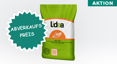 Maissaat Friendli cs