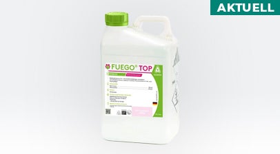 Zum Produkt Fuego Top