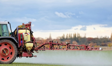 Herbst: Empfehlungen zum Herbizideinsatz im Getreide