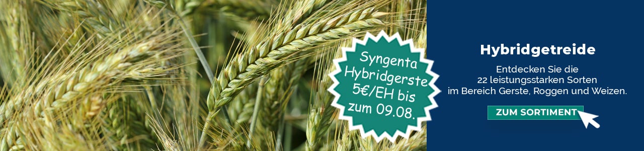 Hybridgetreide! Frühbezug auf Syngenta Hybridgerste: 5€ pro Einheit bis zum 09.08.