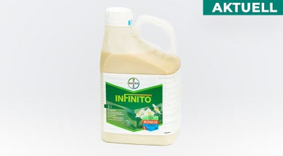 AKTUELL: Infinito