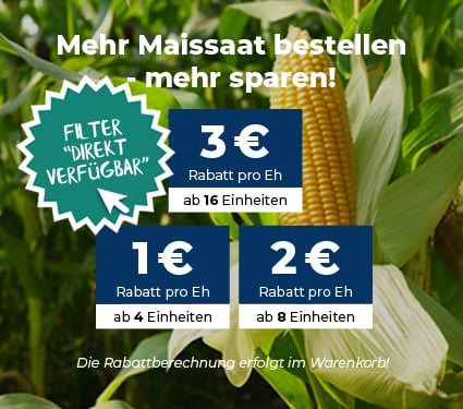 Maissaat: Verf&uuml;gbarkeit pr&uuml;fen