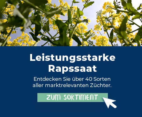 raps-mengenstaffel