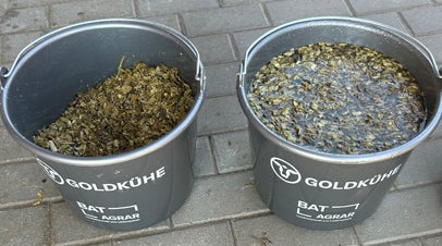 Maissilage: Die richtige Häcksellänge als Erfolgsfaktor!