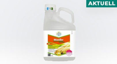 AKTUELL: MaisTer power