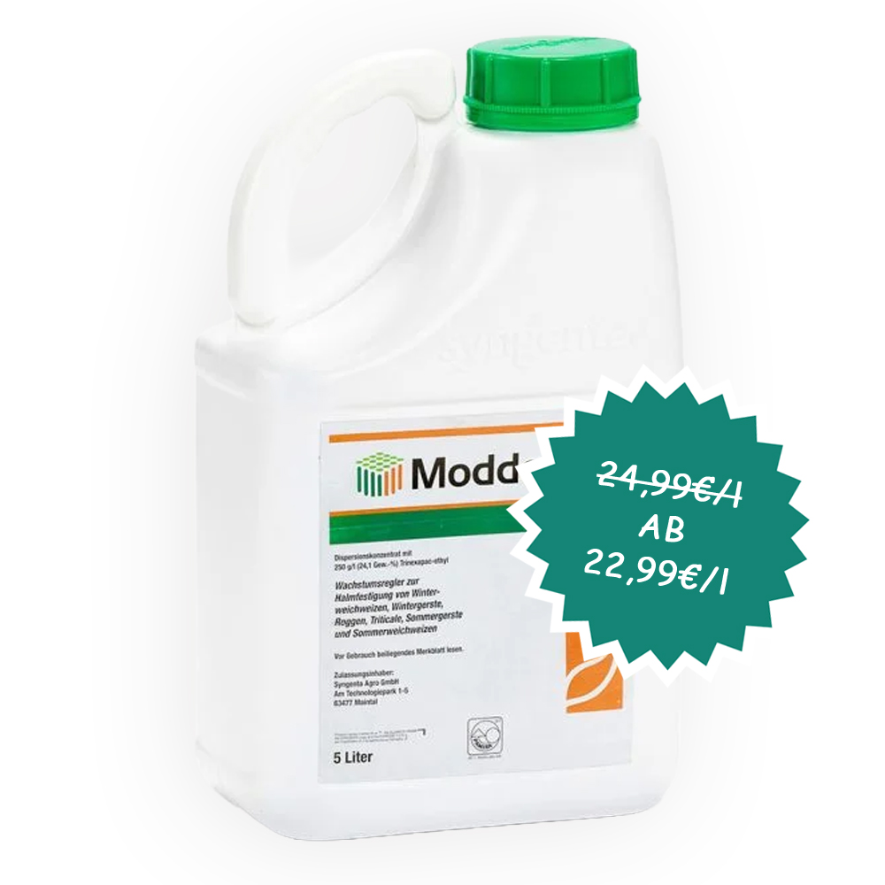 Zum w&ouml;chentlichen Eckpreis Moddevo