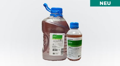 ZUM PRODUKT LADIVA