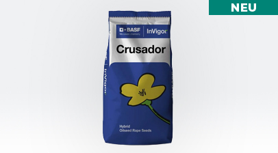 Zum Produkt Crusador