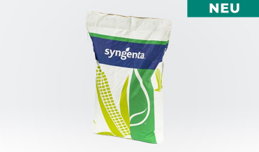 Neue Sorte SY Ferrata