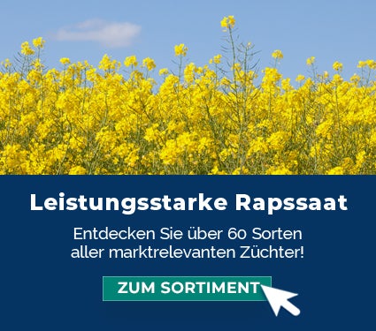 Rapssaat sichern bei myAGRAR
