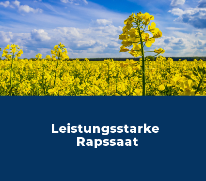 Rapssaat sichern bei myAGRAR