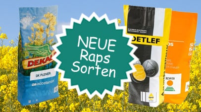 Neue Rapssaat Sorten