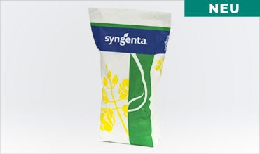 Zum Produkt SY Elisabetta Zum Produkt SY Elisabetta