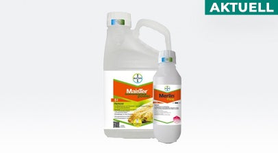 AKTUELL: MaisTer power Flexx Pack