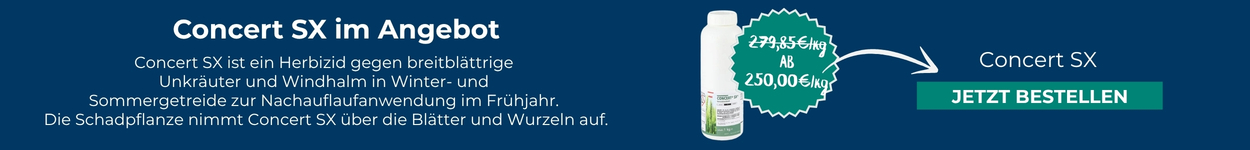 Concert SX im Angebot