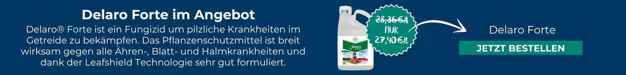 Delaro Forte im Angebot